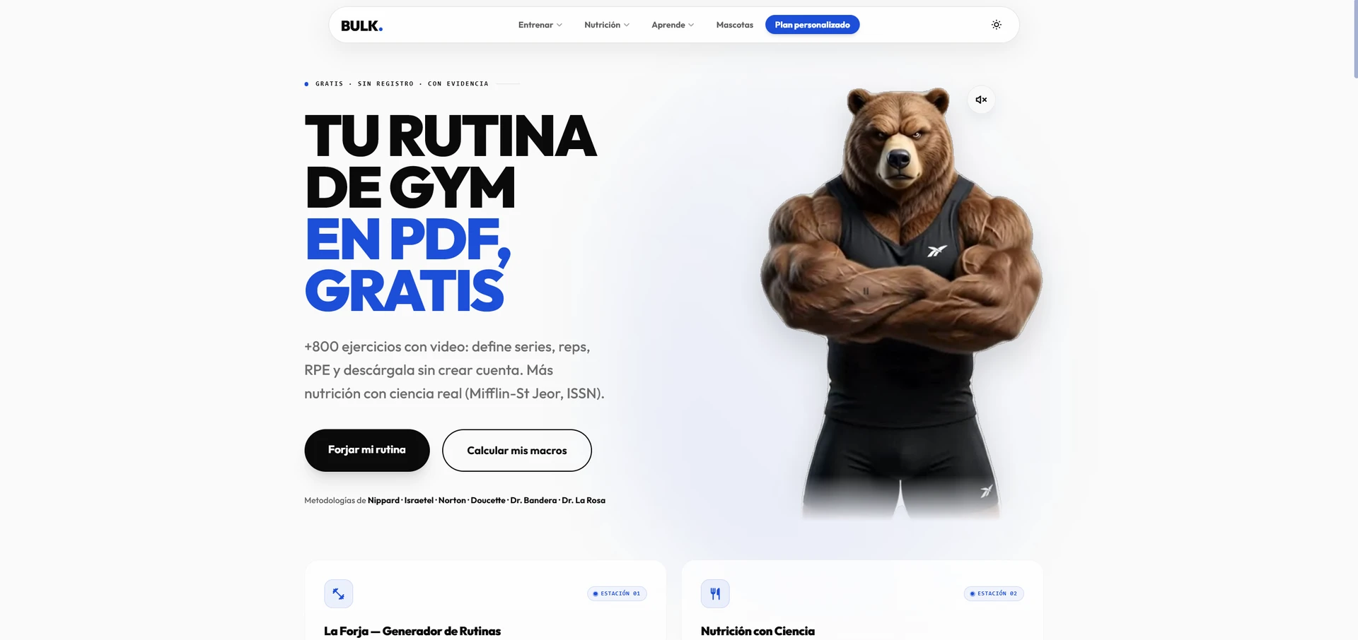 Mazeta Gym